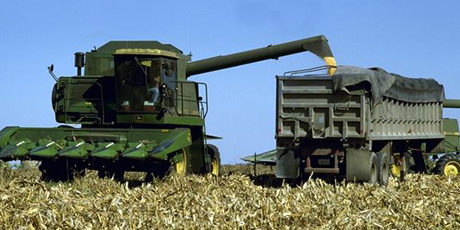 Oracle harvesting Oracle harvesting